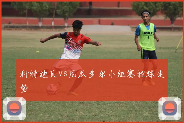 科特迪瓦vs厄瓜多尔小组赛控球走势