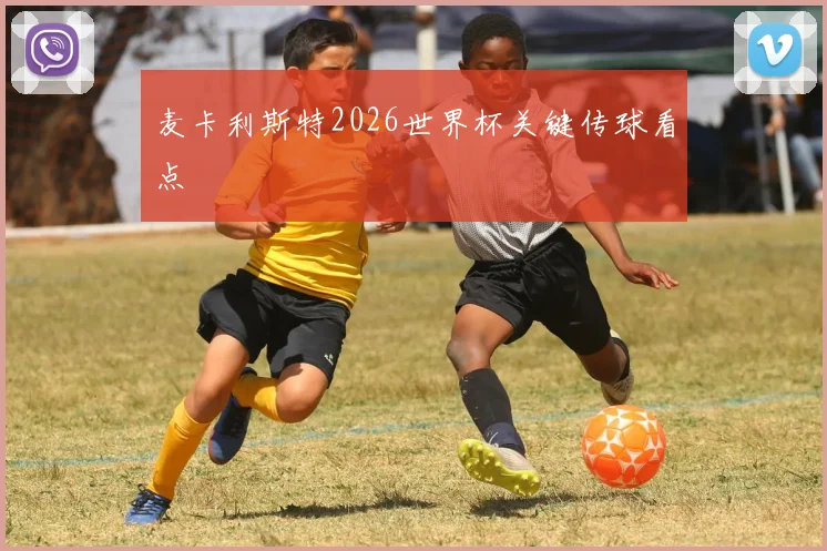 麦卡利斯特2026世界杯关键传球看点
