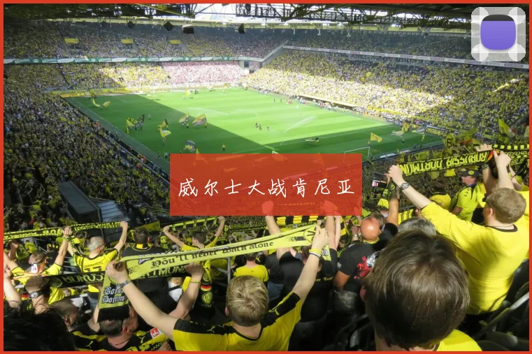 威尔士大战肯尼亚