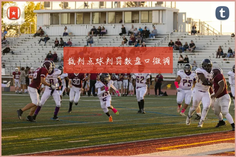 裁判点球判罚数盘口微调