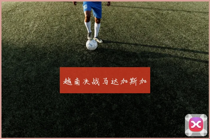 越南决战马达加斯加
