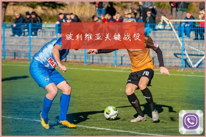 玻利维亚关键战役
