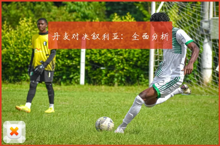 丹麦对决叙利亚：全面分析
