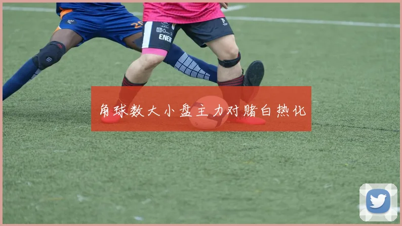 角球数大小盘主力对赌白热化
