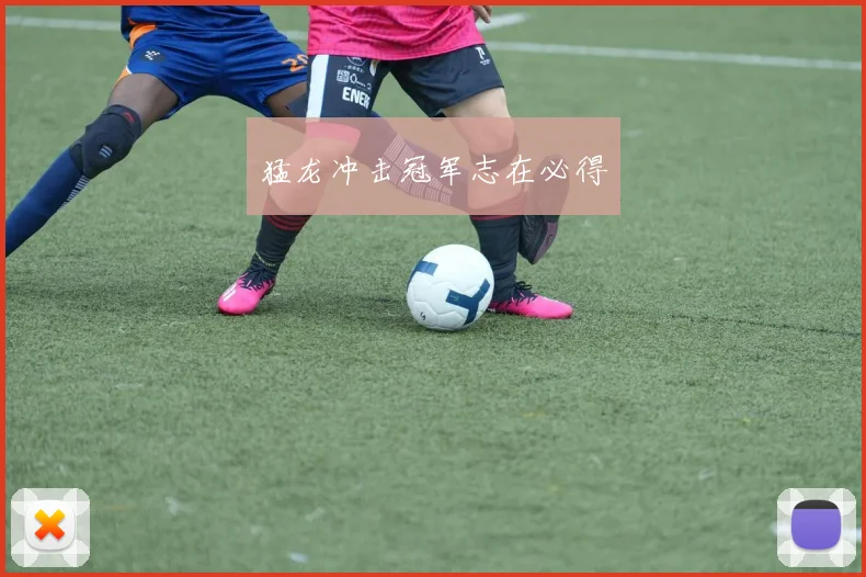 猛龙冲击冠军志在必得