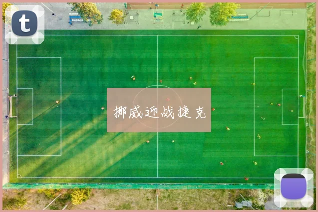 挪威迎战捷克