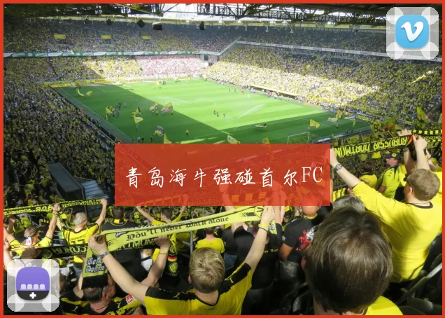 青岛海牛强碰首尔FC
