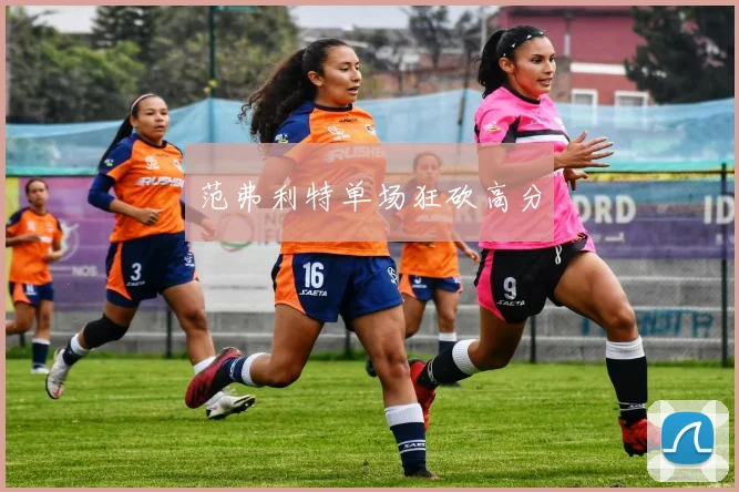 范弗利特单场狂砍高分