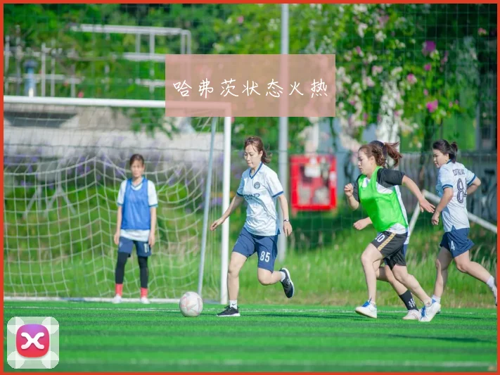 哈弗茨状态火热