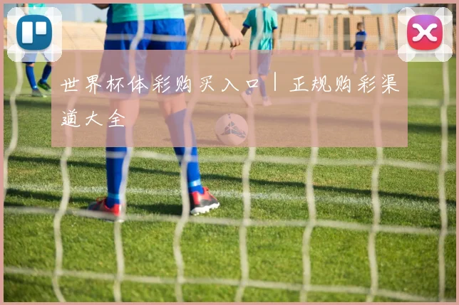 世界杯体彩购买入口｜正规购彩渠道大全