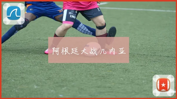 阿根廷大战几内亚