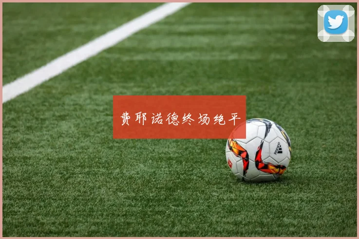 费耶诺德终场绝平