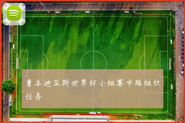 鲁本迪亚斯世界杯小组赛中路组织任务