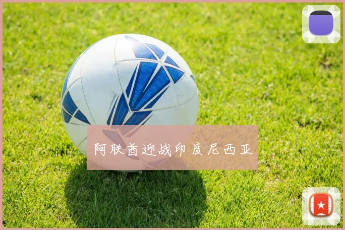 阿联酋迎战印度尼西亚