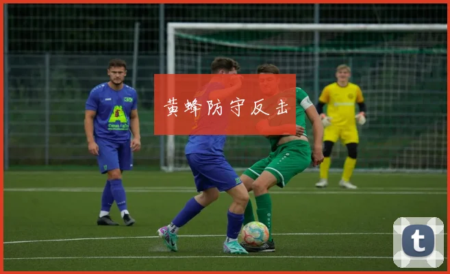 黄蜂防守反击