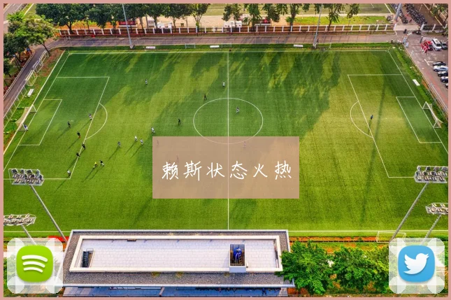 赖斯状态火热