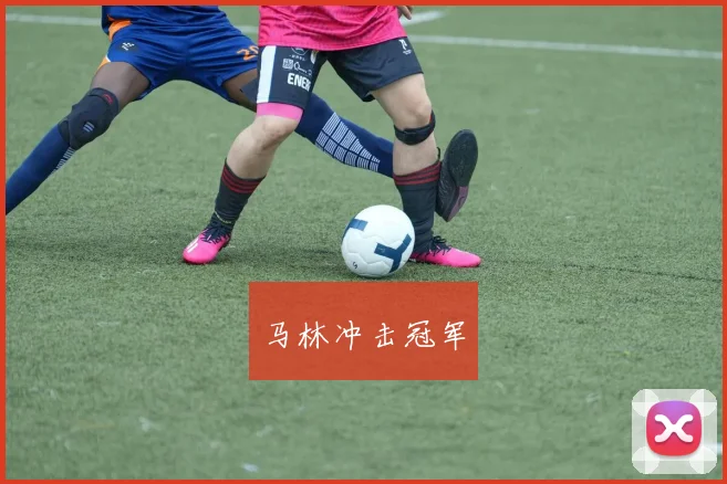 马林冲击冠军