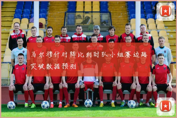 马尔穆什对阵比利时队小组赛边路突破数据预测