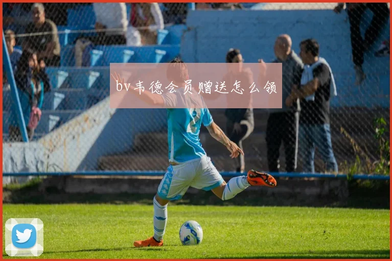 bv韦德会员赠送怎么领