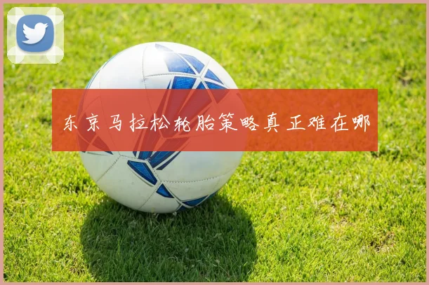 东京马拉松轮胎策略真正难在哪
