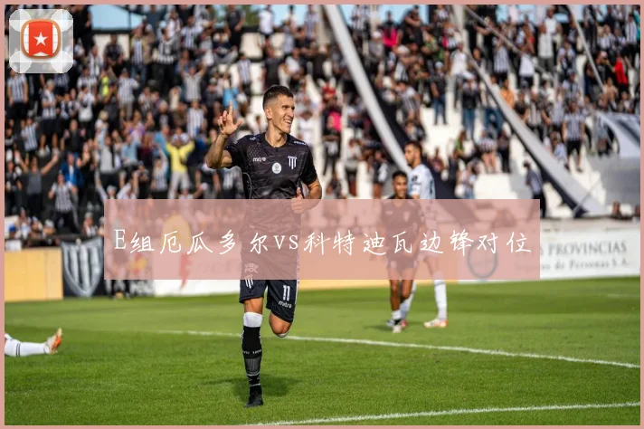 E组厄瓜多尔vs科特迪瓦边锋对位